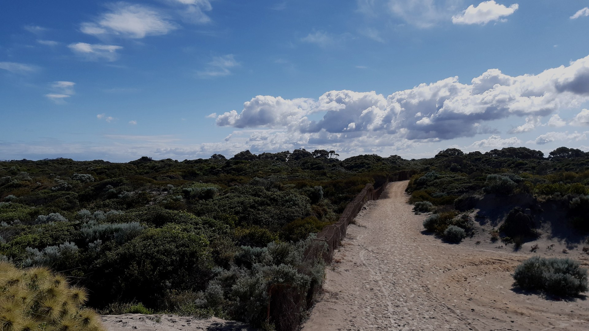 Coastal path and scrub near Secret Harbour, Western Australia