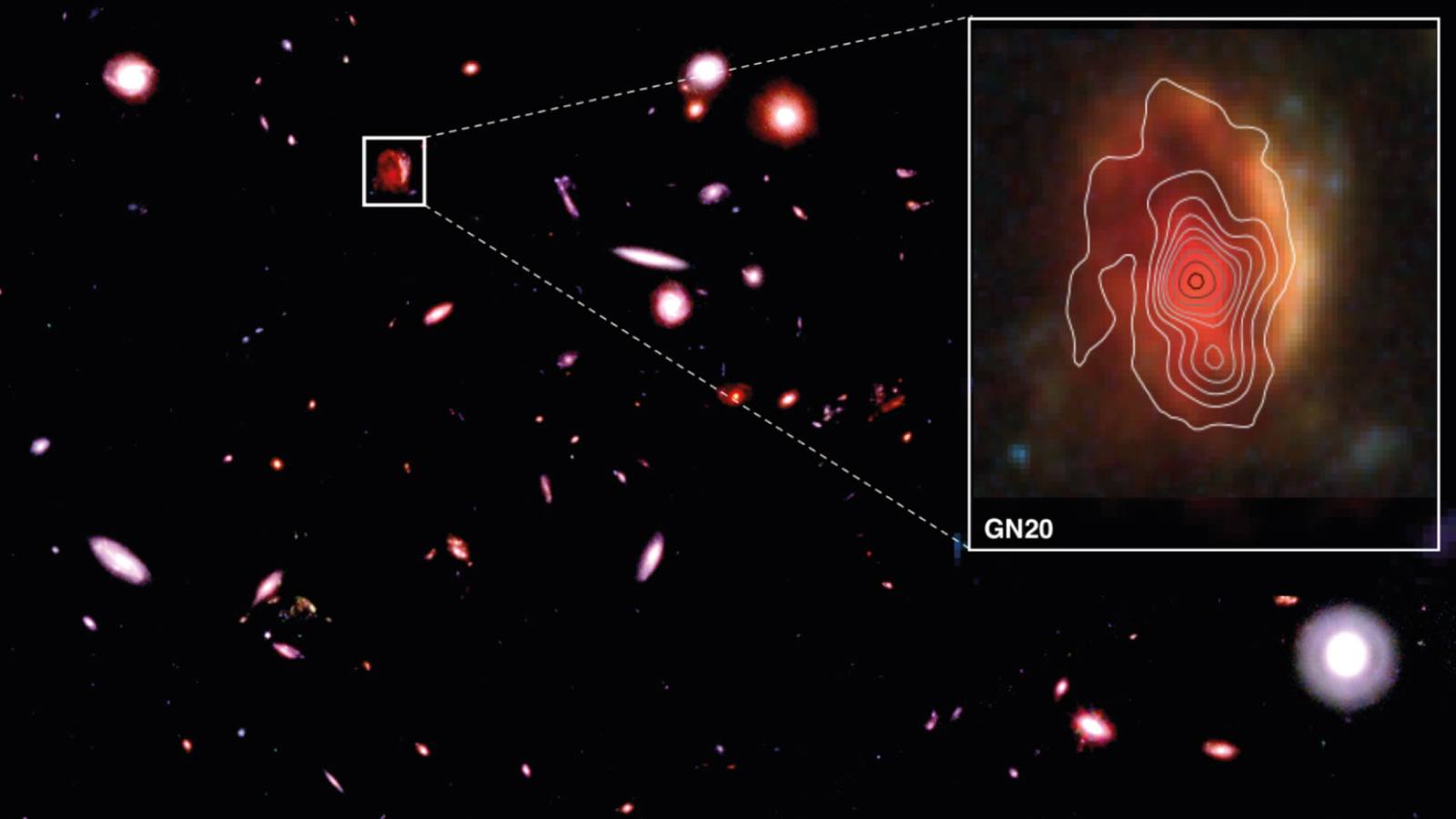 Webb deep field of the GOODS North sky with an inset of the red galaxy GN20 overlaid with white NOEMA dust contours