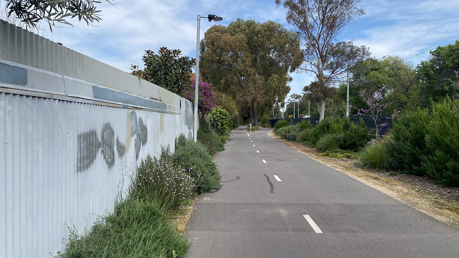 Mike Turtur Bikeway now rides over four busy Adelaide roads