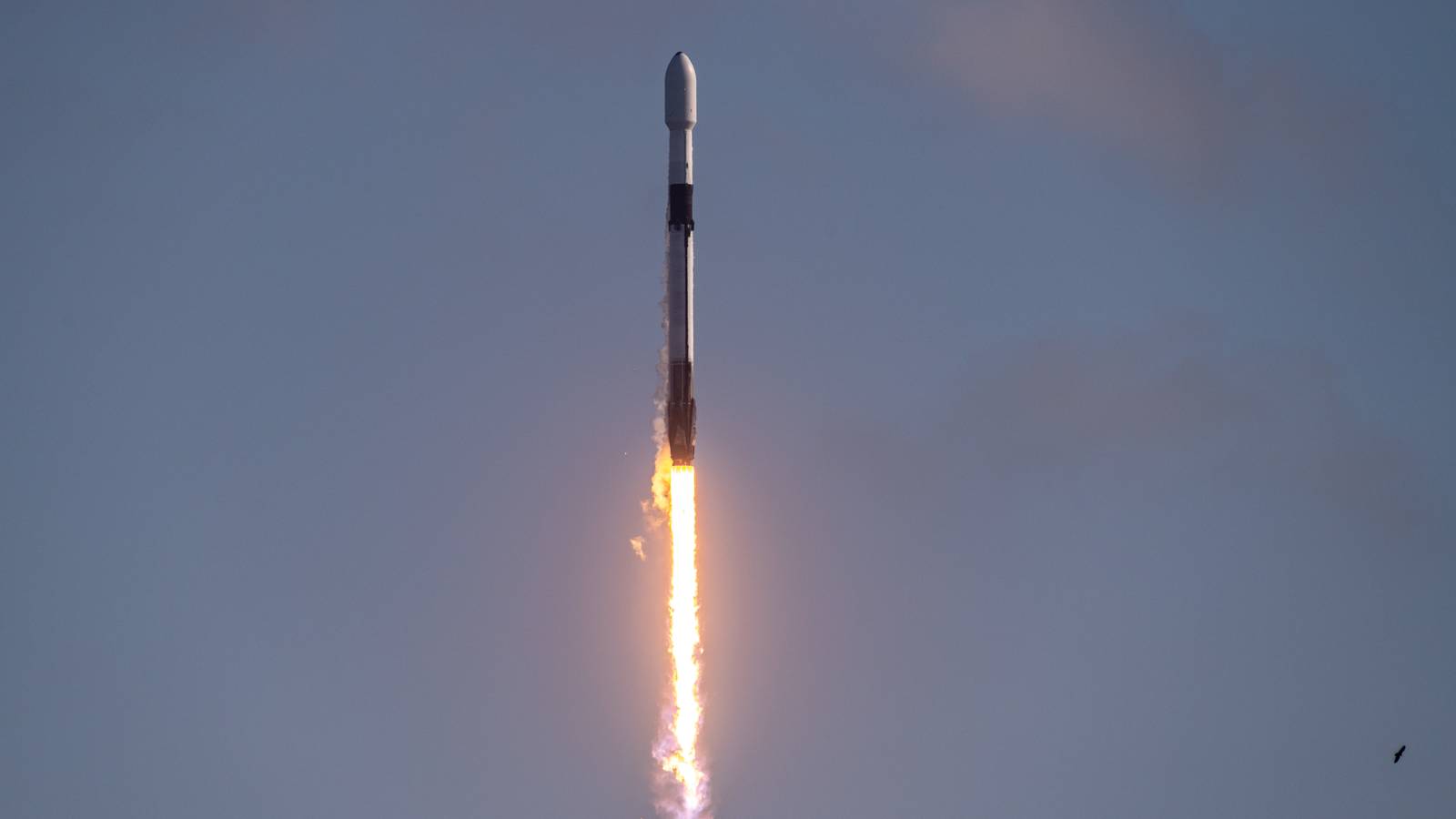 A Falcon 9 rocket climbs into a hazy blue sky on a bright column of flame