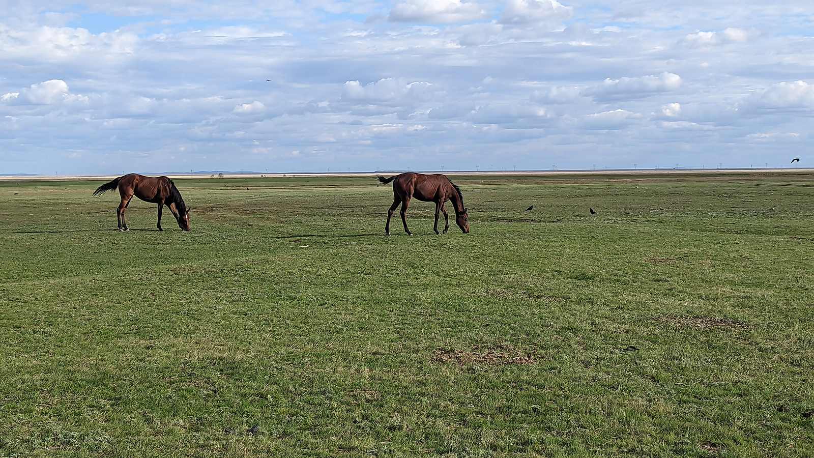 Starlink Mobile goes live in Kazakhstan with Beeline