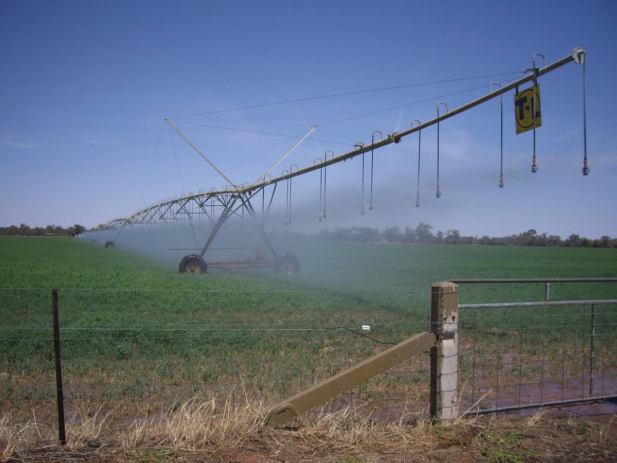 Centre-pivot irrigation at Euberta, Riverina