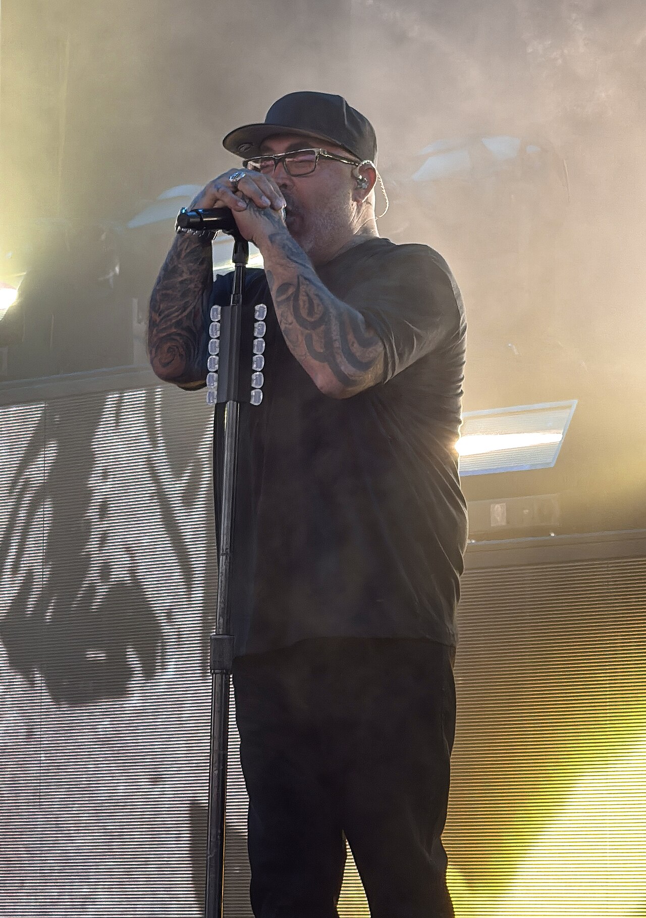 Aaron Lewis in a cap and glasses singing into a microphone in stage haze
